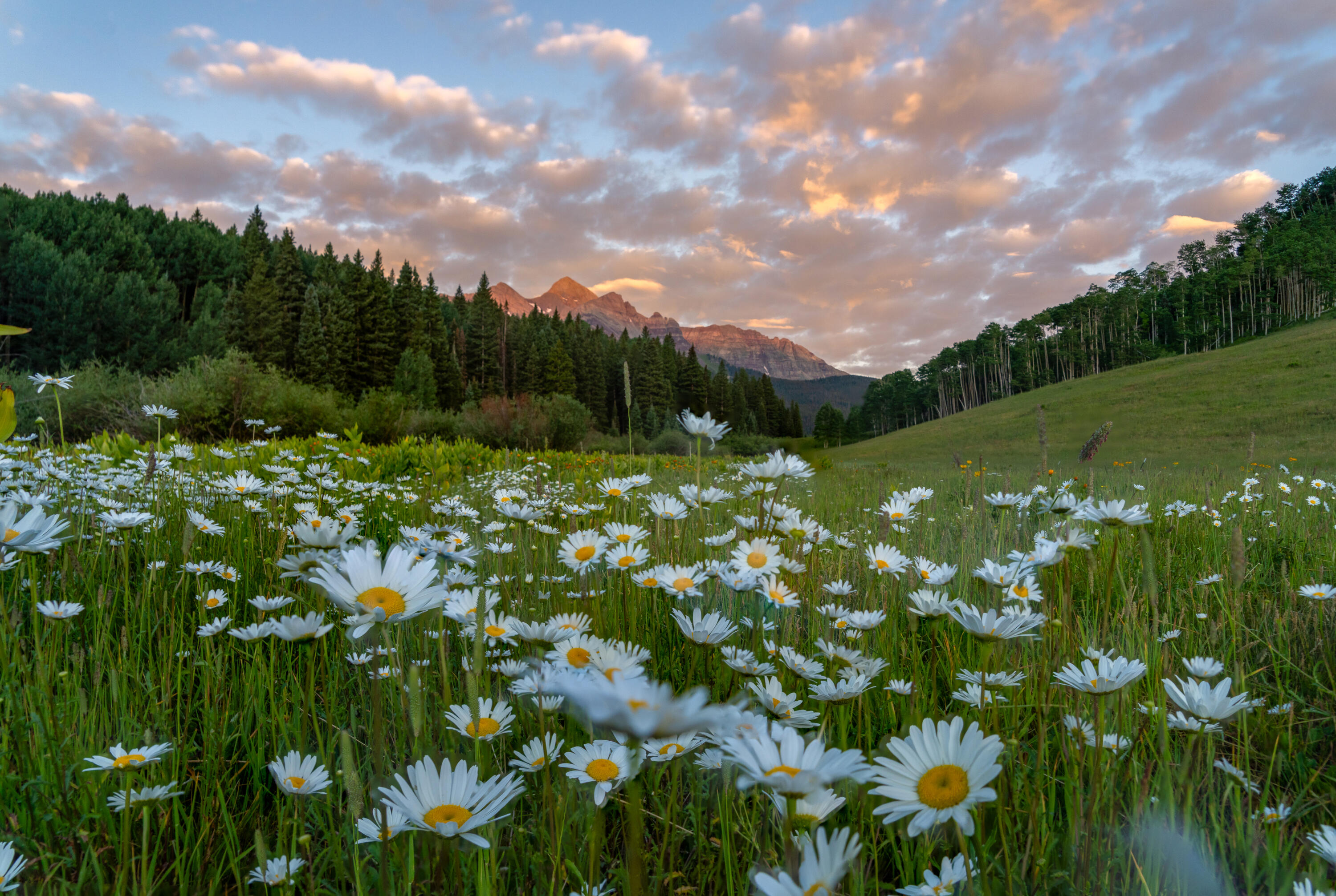 tbd Sunshine Mesa Road