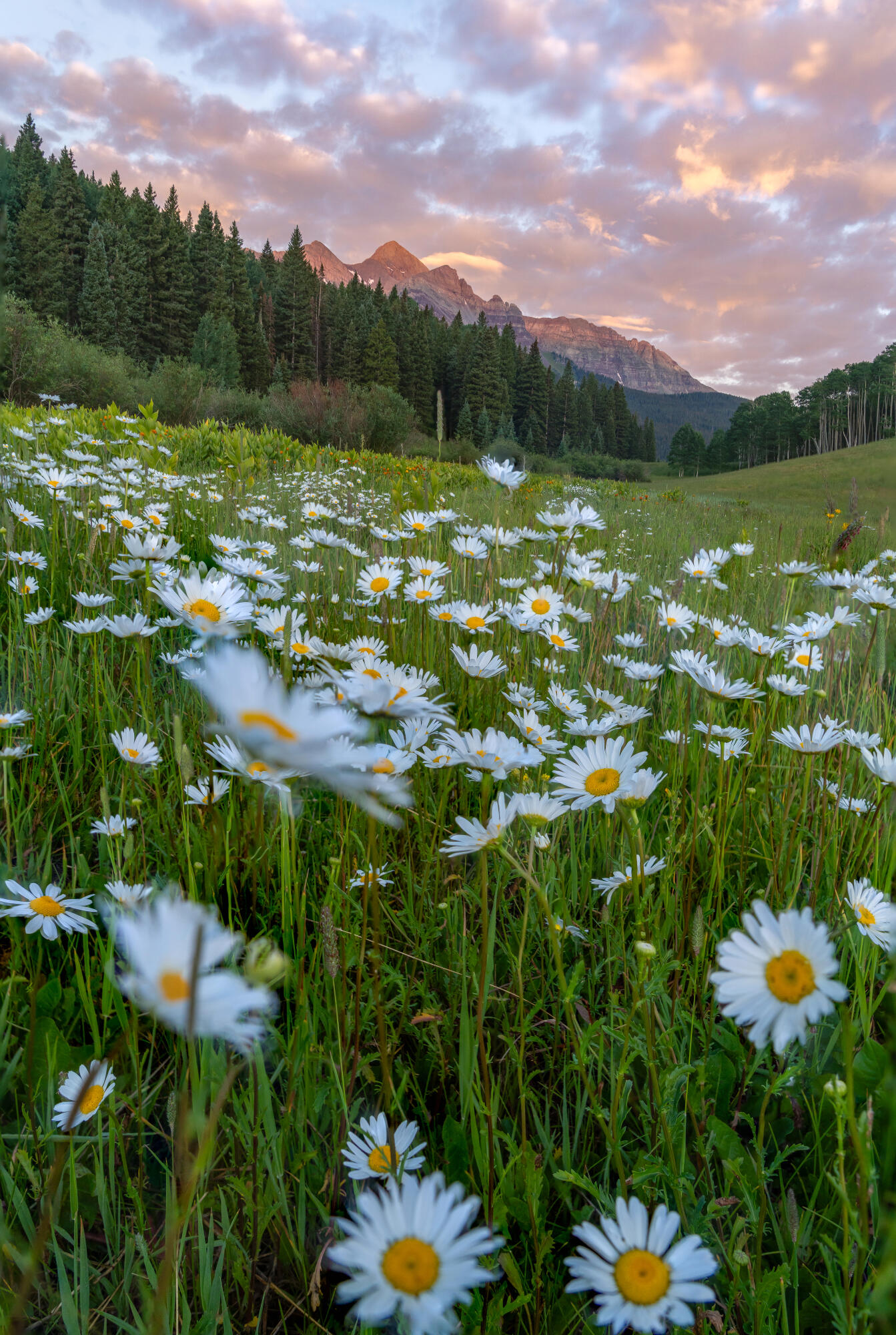 tbd Sunshine Mesa Road