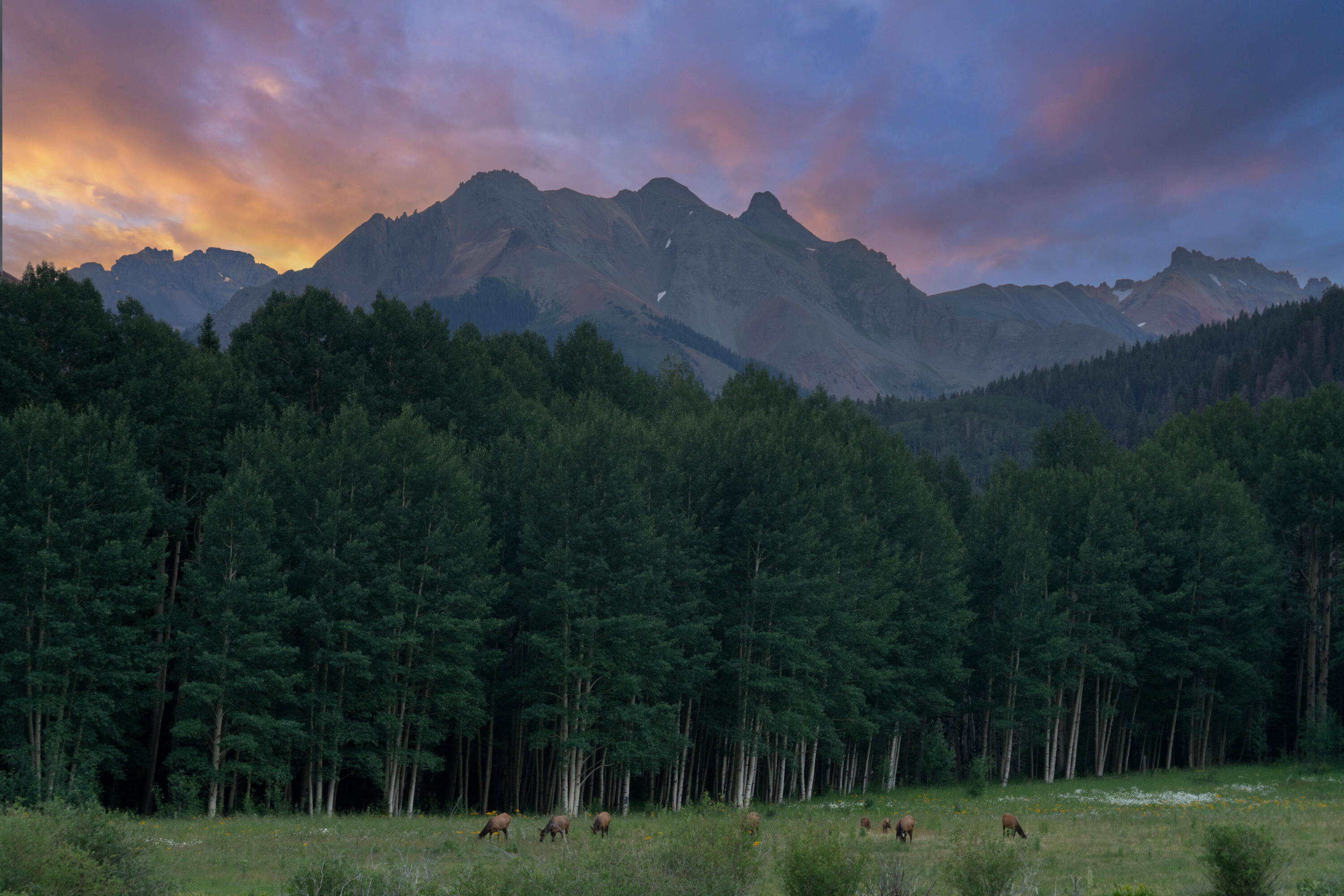 tbd Sunshine Mesa Road