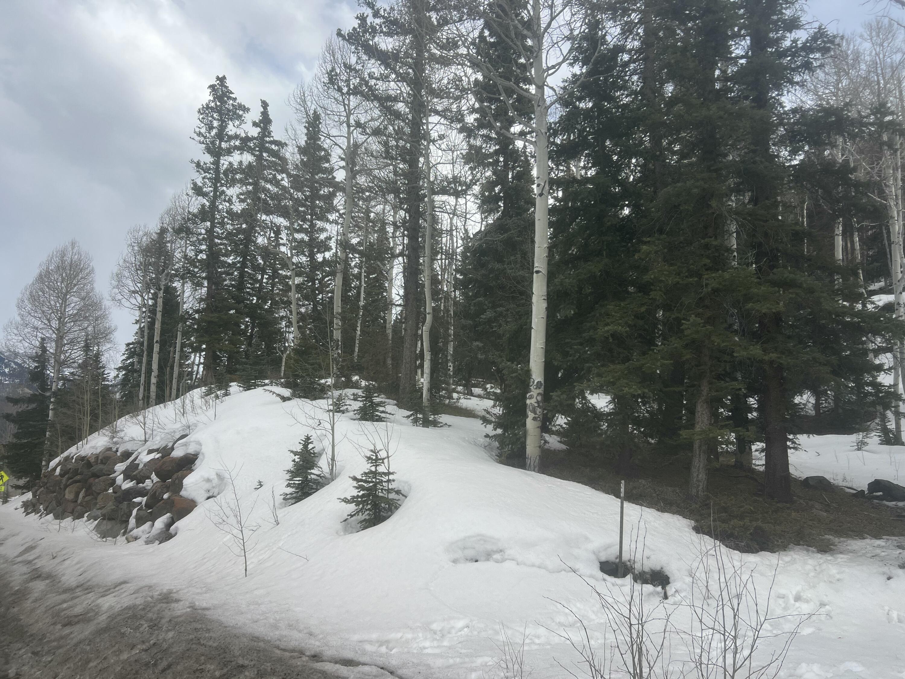 tbd Society Drive Unit: Lot C