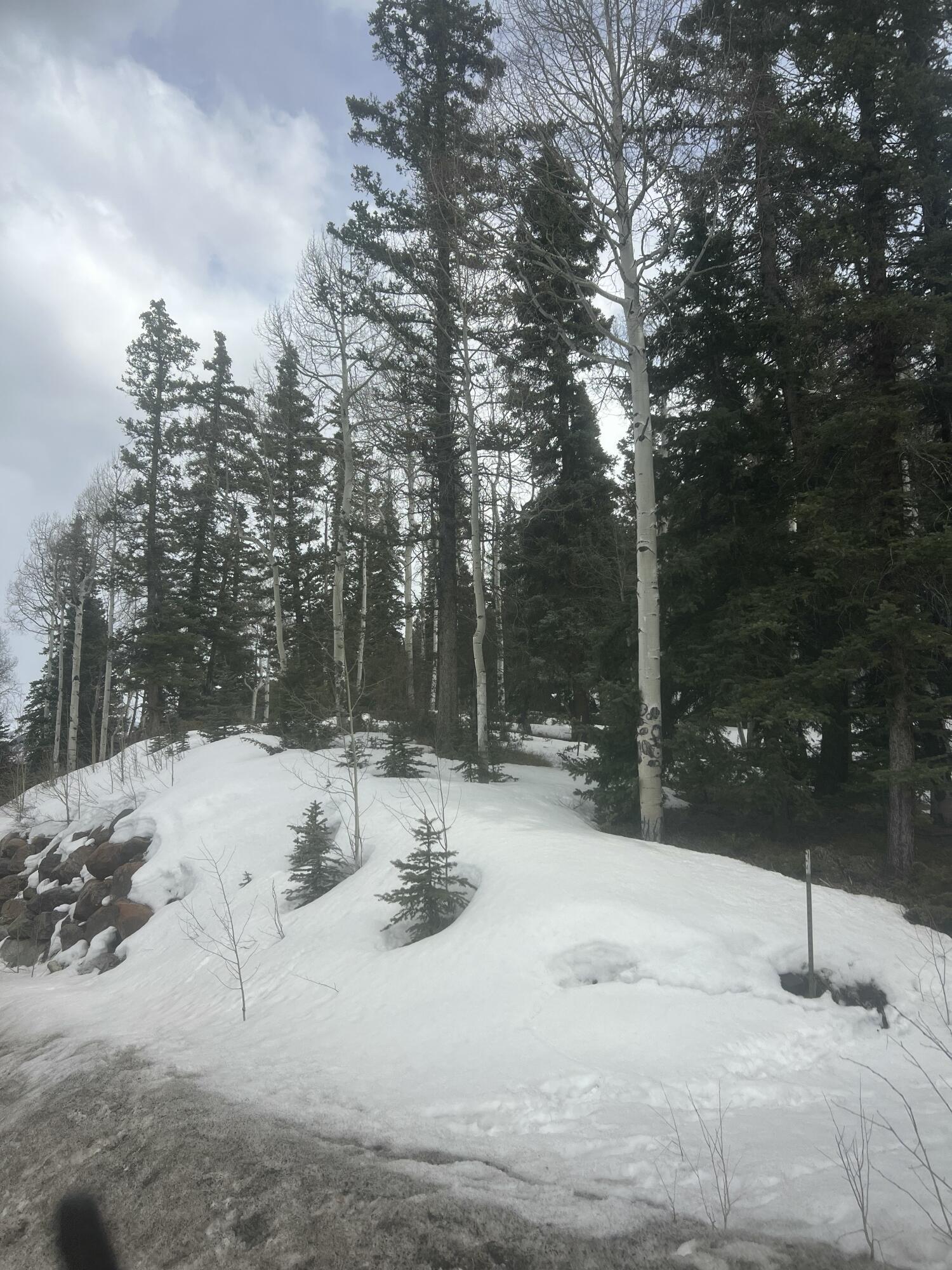 tbd Society Drive Unit: Lot C