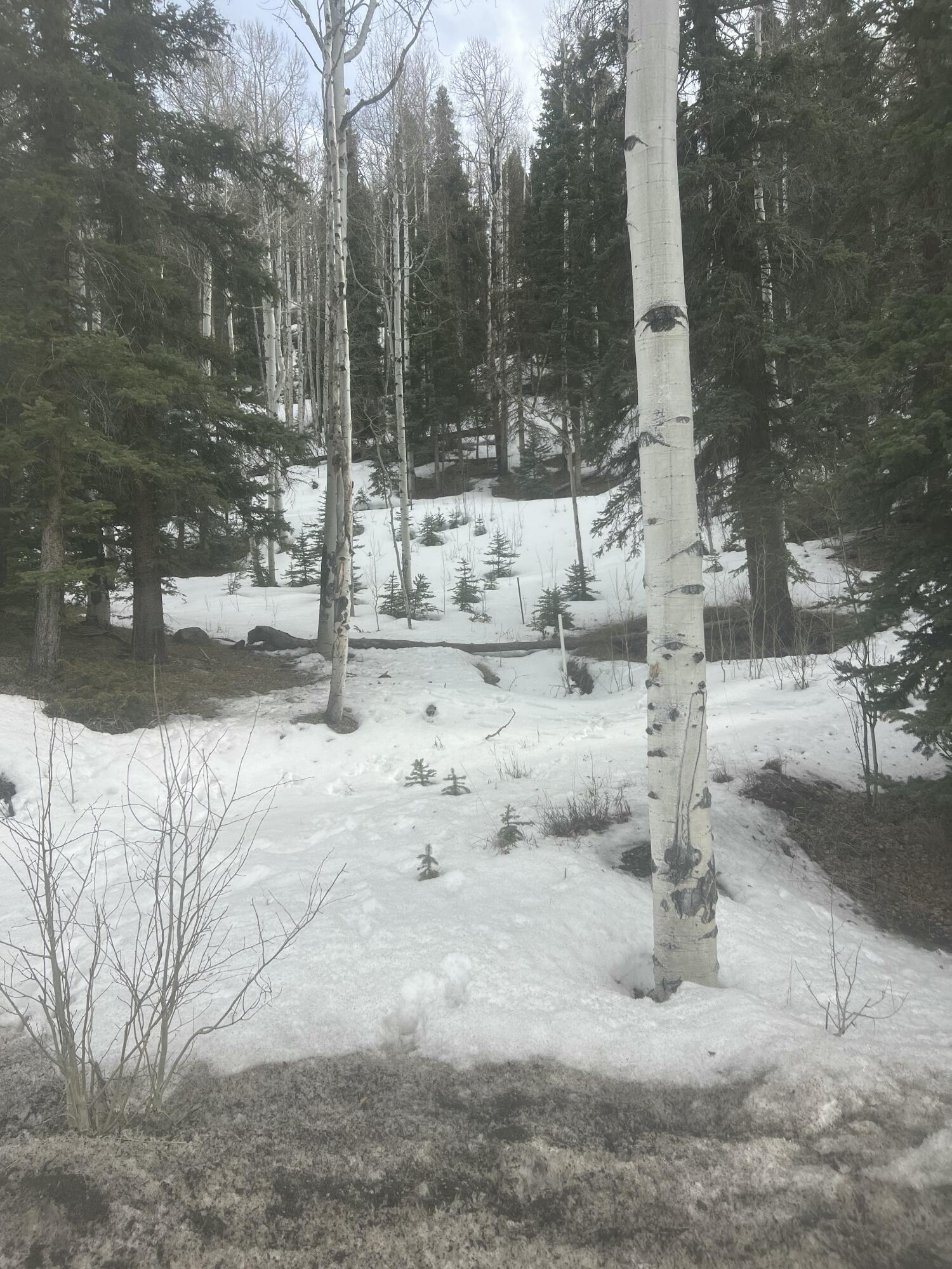 tbd Society Drive Unit: Lot C