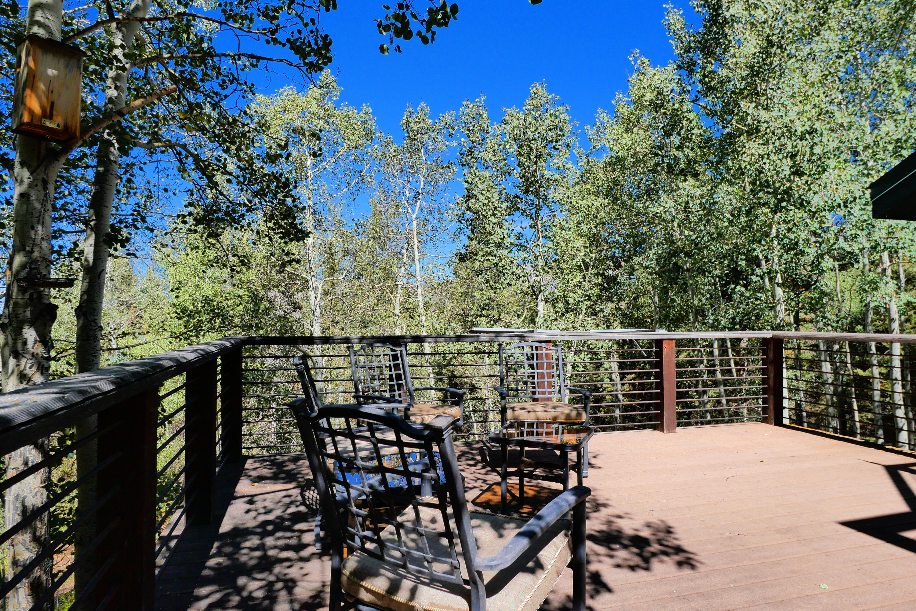 819 Saddle Horn Lane