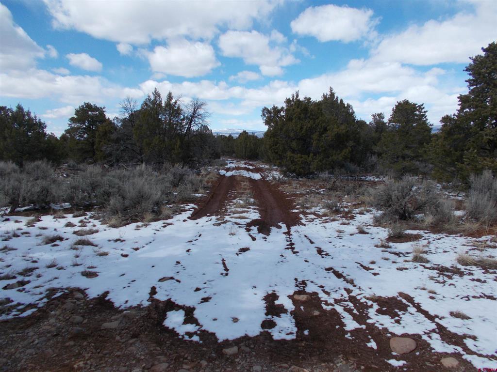 tbd lot19 Road