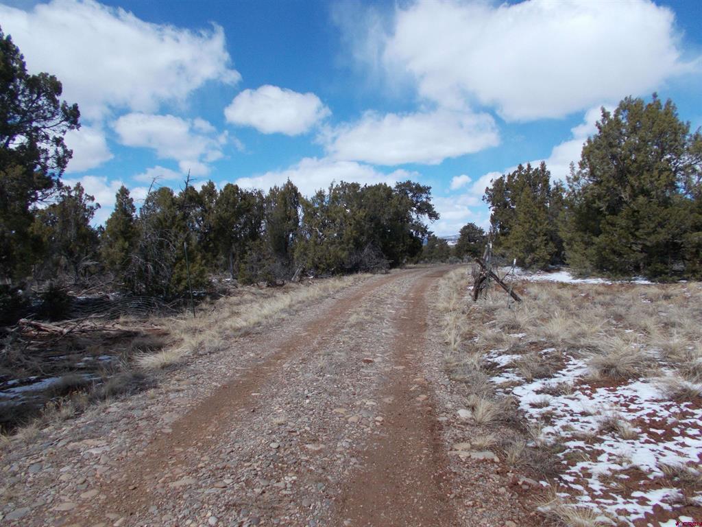 tbd lot19 Road
