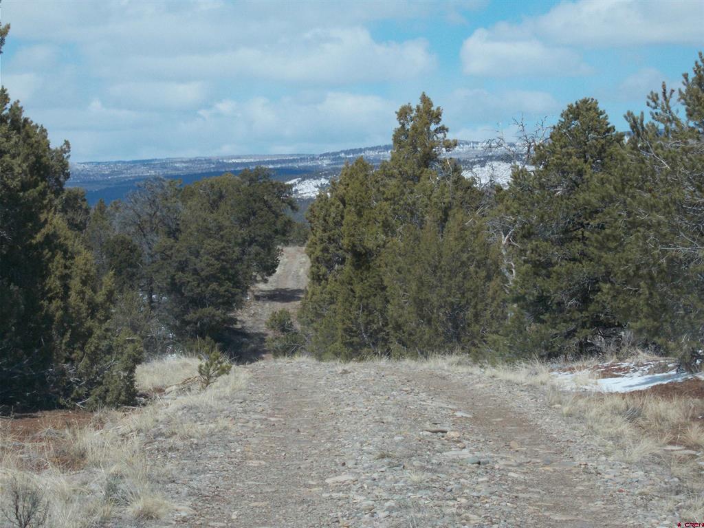tbd lot19 Road