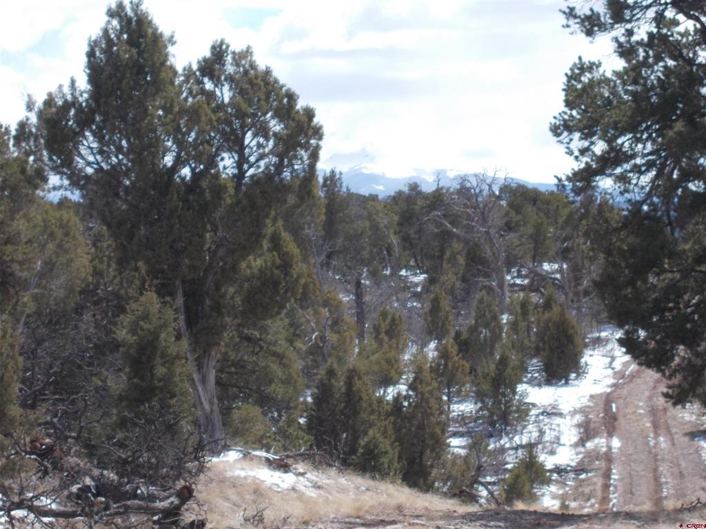 tbd lot19 Road