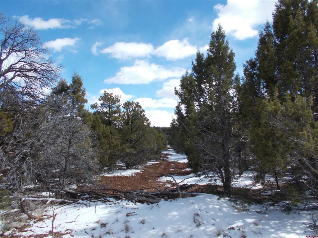 tbd lot19 Road