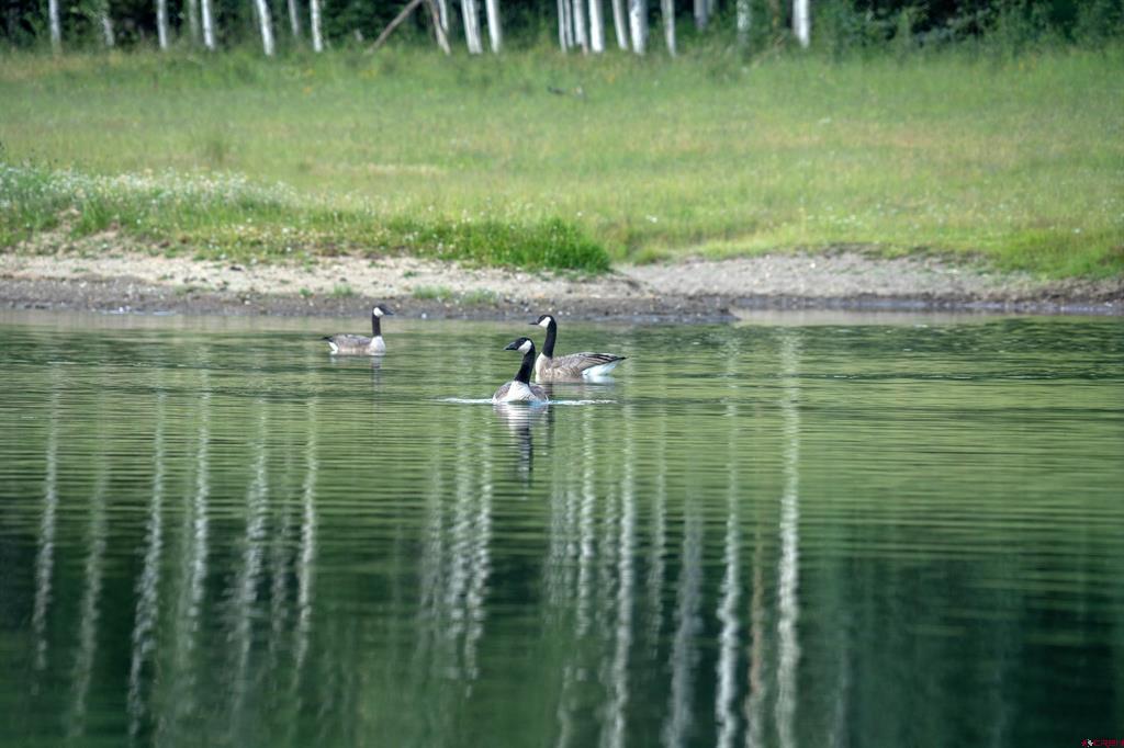 tbd Sunshine Mesa Road