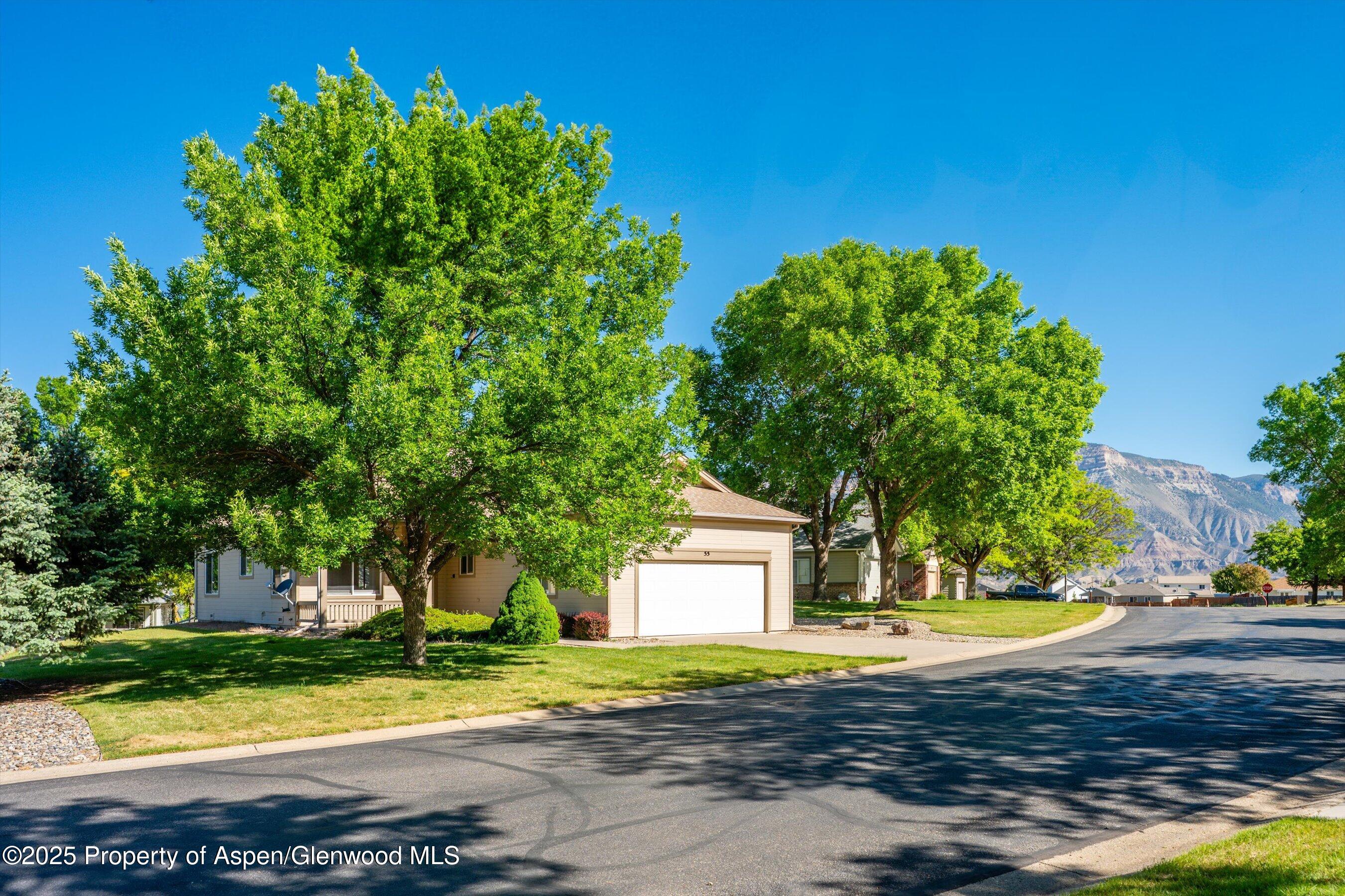 55 Limberpine Circle