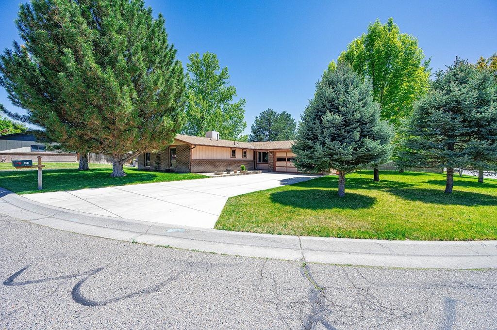 594 McMullin Drive