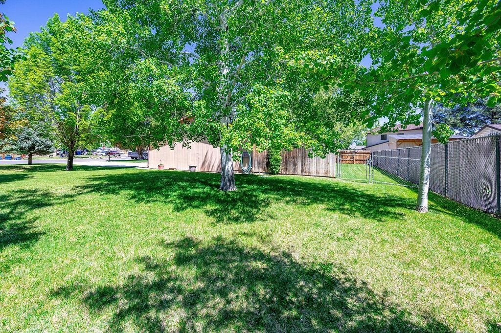 594 McMullin Drive