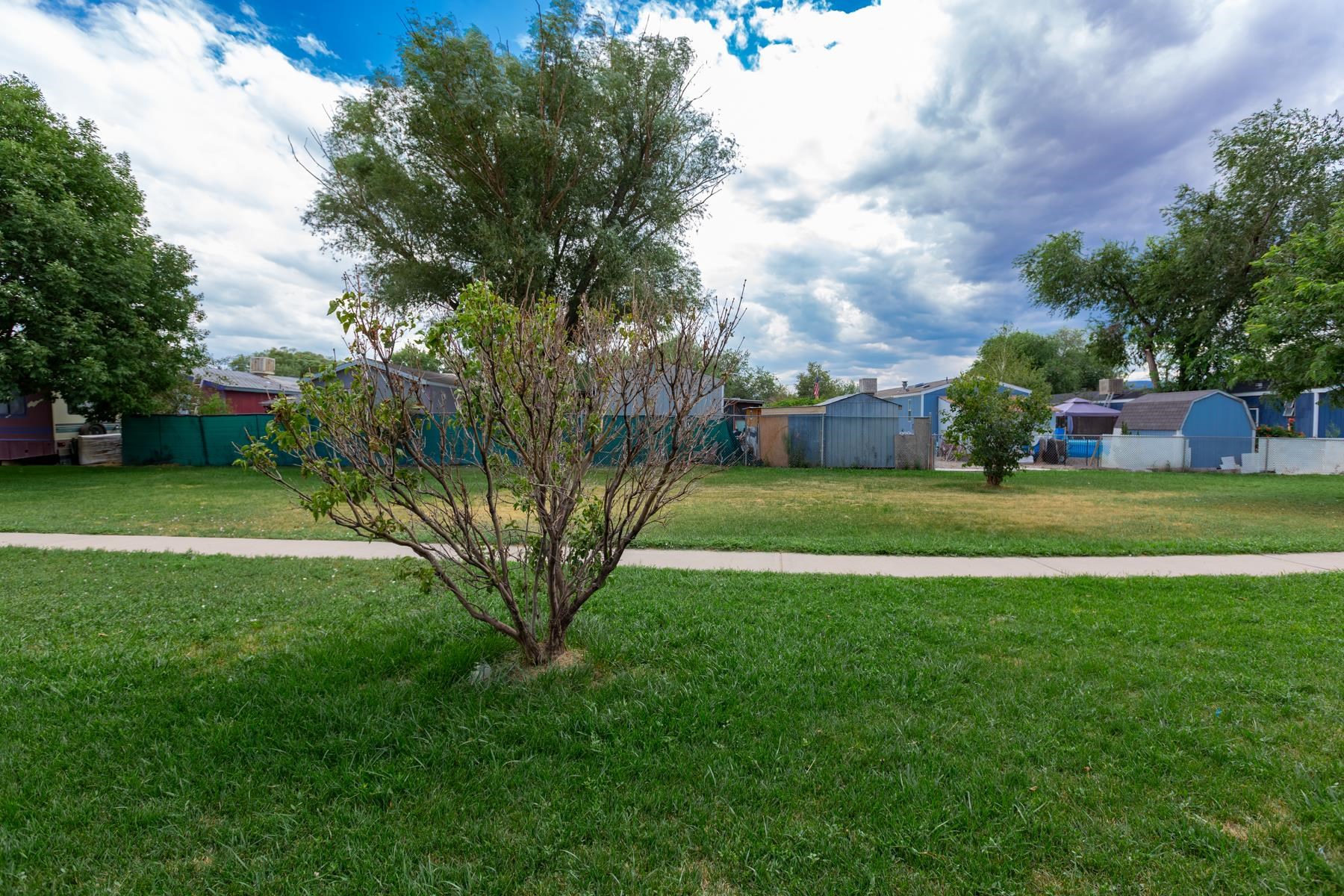 2991 Globe Willow Avenue