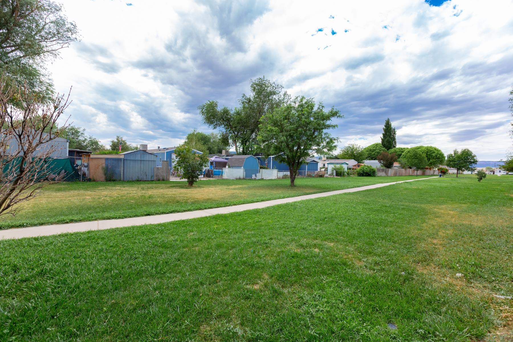 2991 Globe Willow Avenue