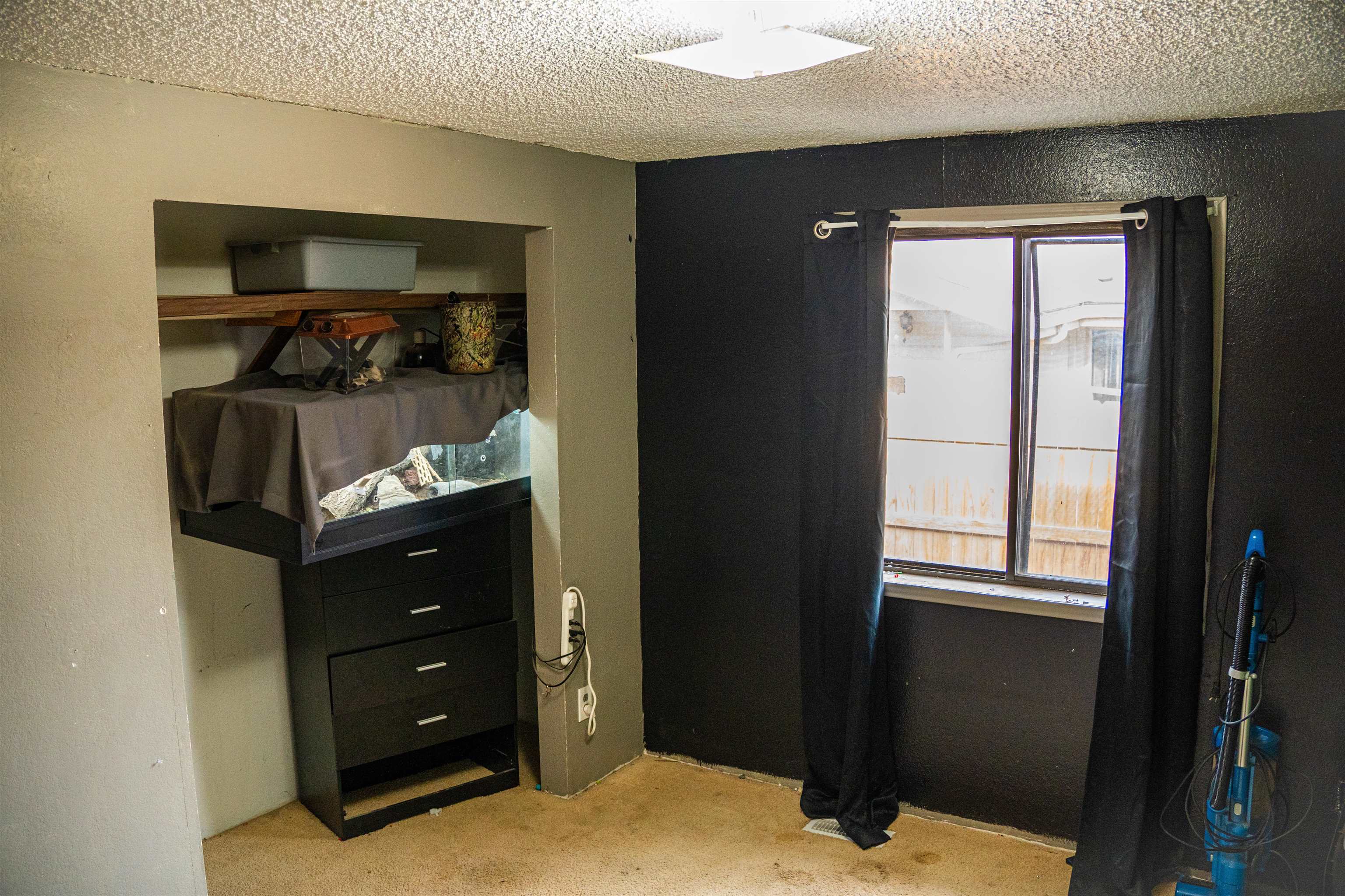 416 1/2 Alamo Street