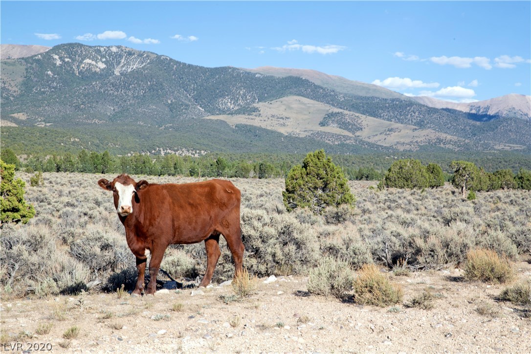 4900 East BIRD CREEK Road LOT 8