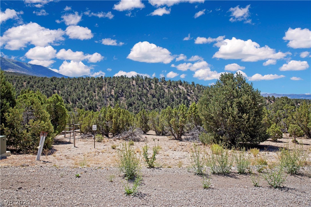 5205 East BIRD CREEK Road