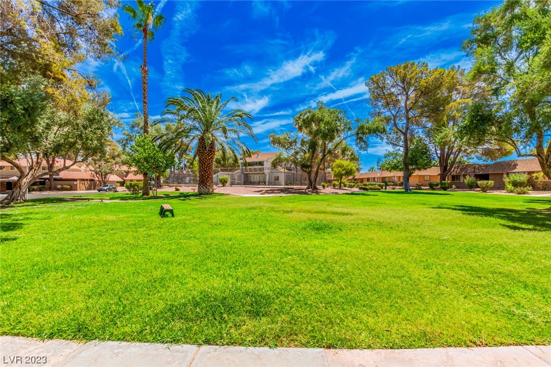 2431 Paradise Village Way