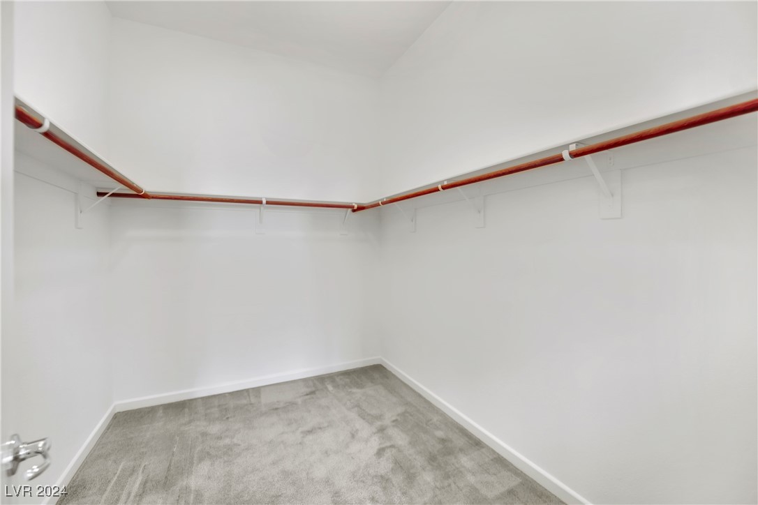 9022 Skye Treeline Street