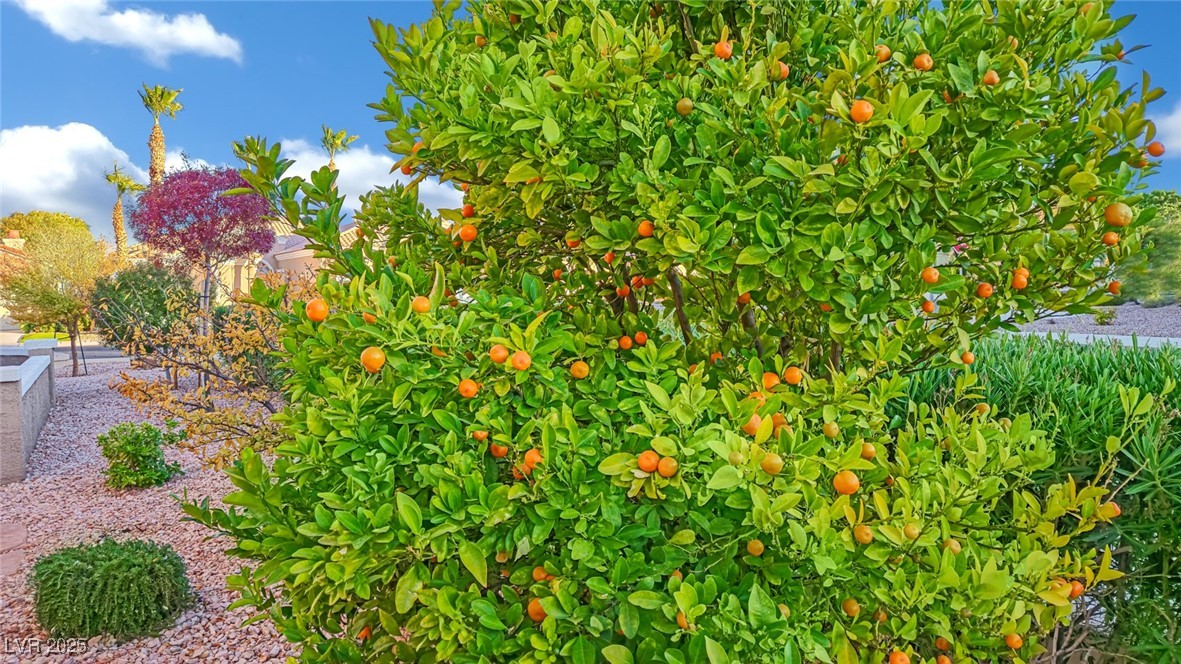 2813 Vista Butte Drive