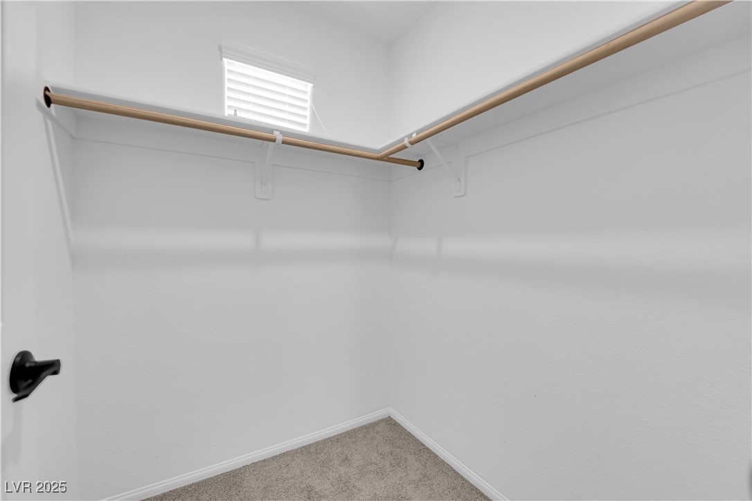 8035 Skye Foxx Street