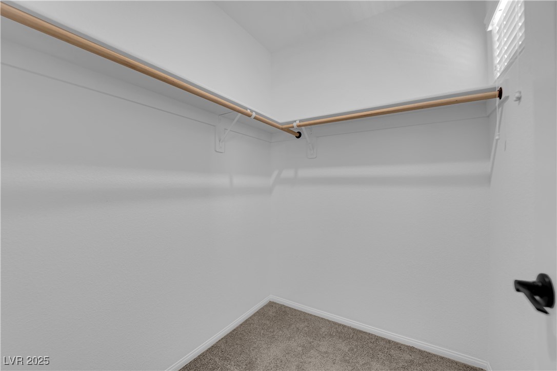 8035 Skye Foxx Street