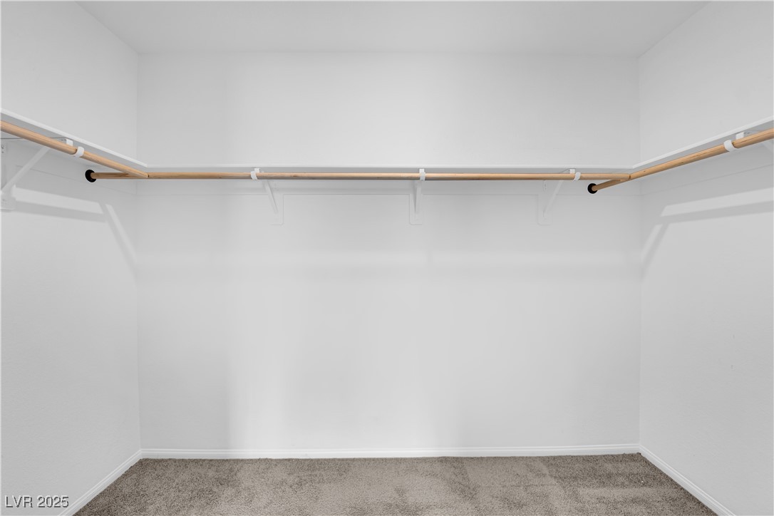 8035 Skye Foxx Street