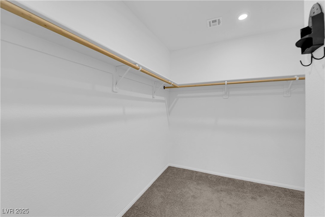 8035 Skye Foxx Street