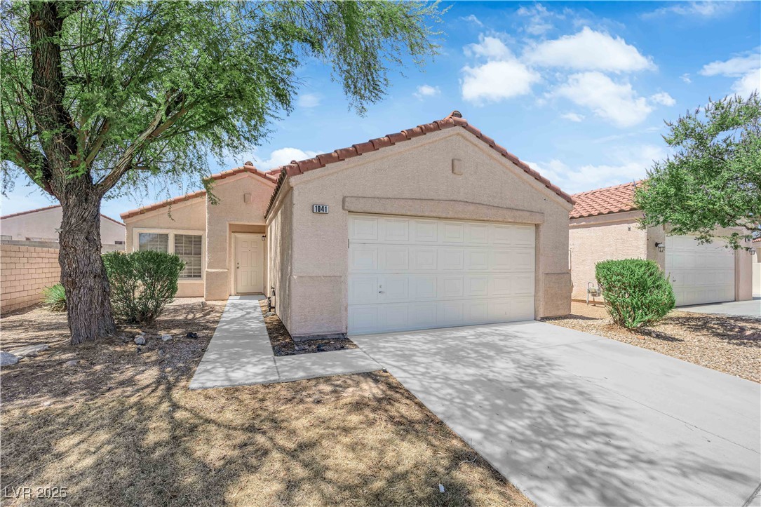 1041 Cedar Pines Street