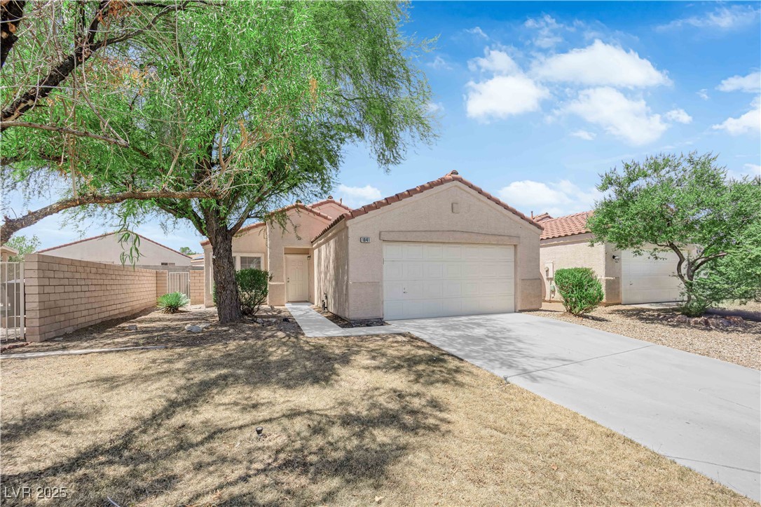 1041 Cedar Pines Street