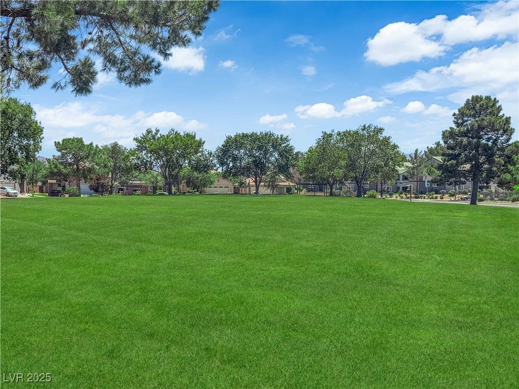 1041 Cedar Pines Street