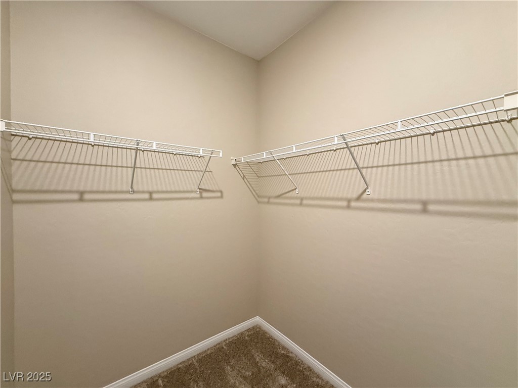 367 American Dipper Street