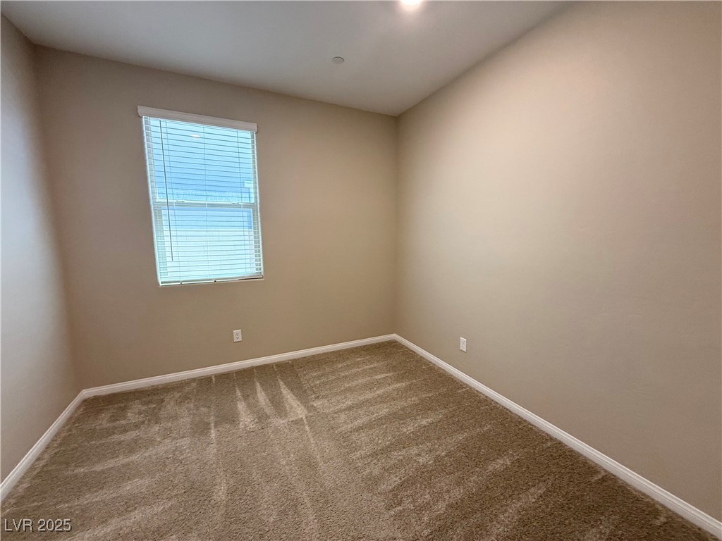 367 American Dipper Street