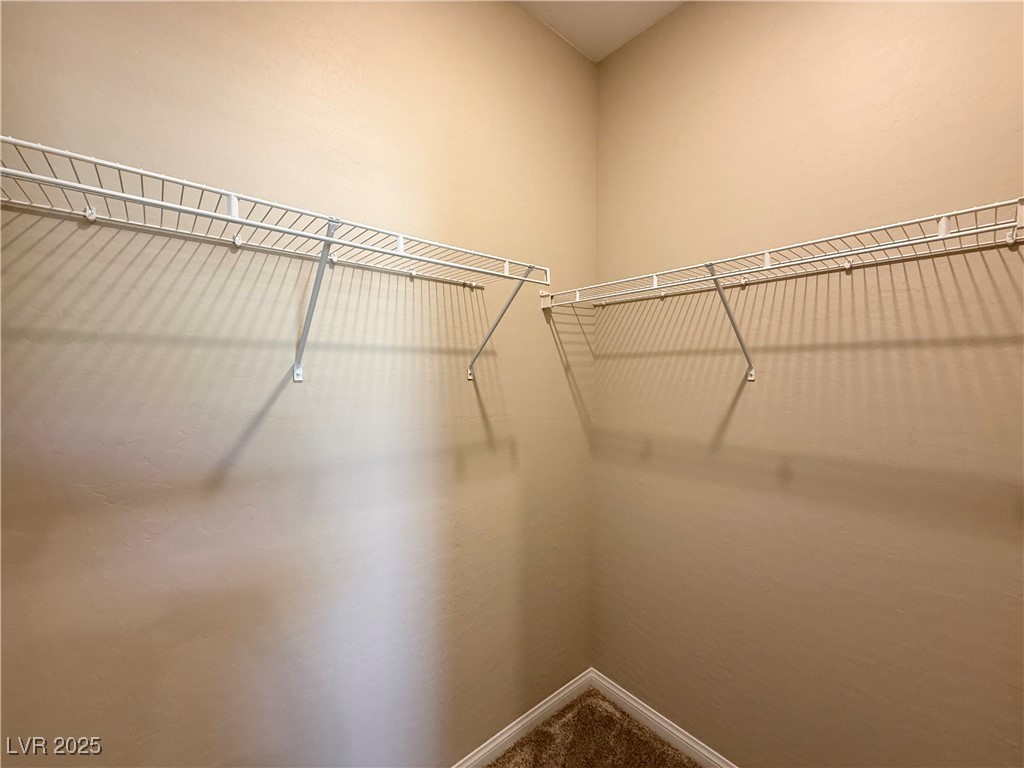 367 American Dipper Street