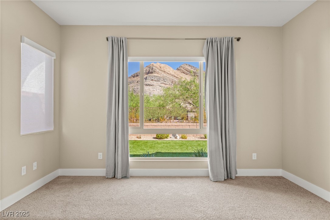 10890 Red Yucca Drive