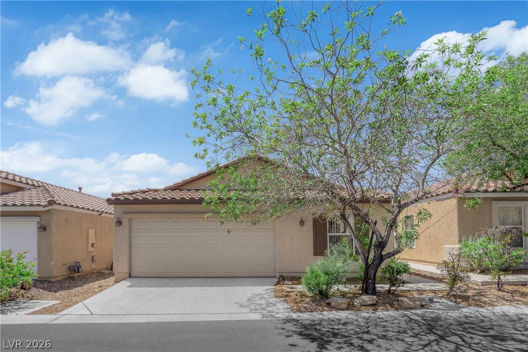 5079 Desert Dandelion Court