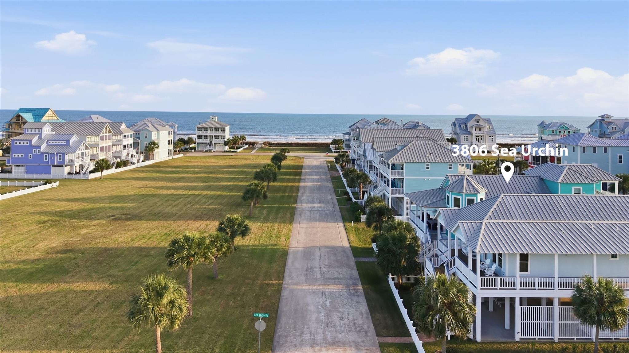 3806 Sea Urchin