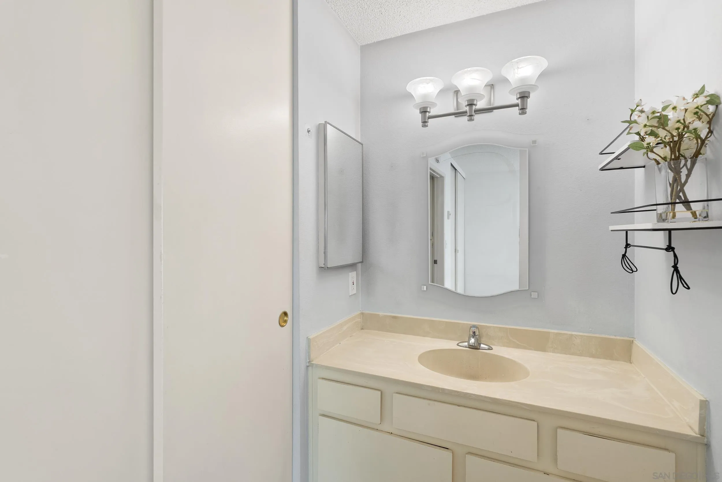 Bathroom vanity with an oval sink, framed mirror, three-light fixture, and flowers on glass shelves.