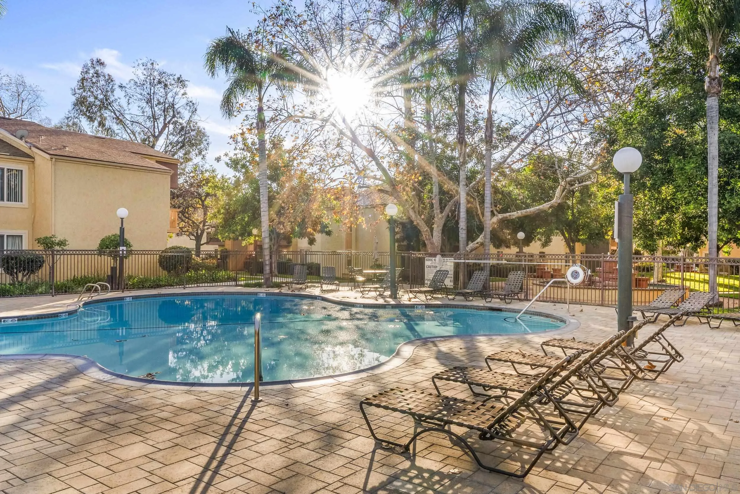 Community pool surrounded by lounge chairs and palm trees, with tan residential buildings behind it.