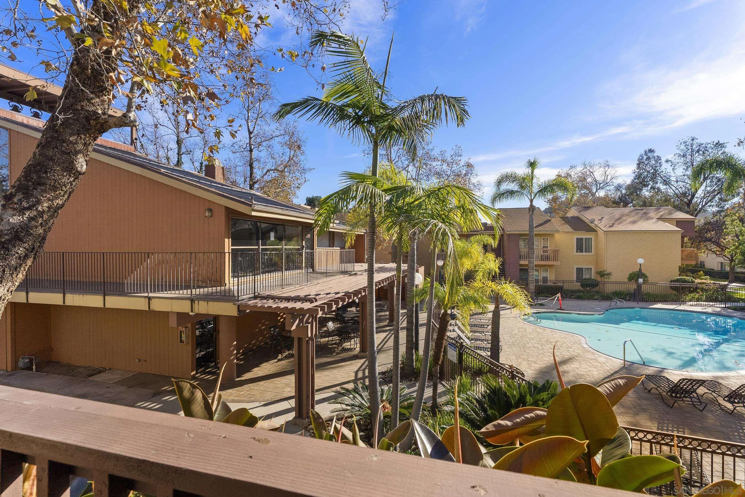 Community swimming pool beside a sun deck, palm trees, and residential buildings.