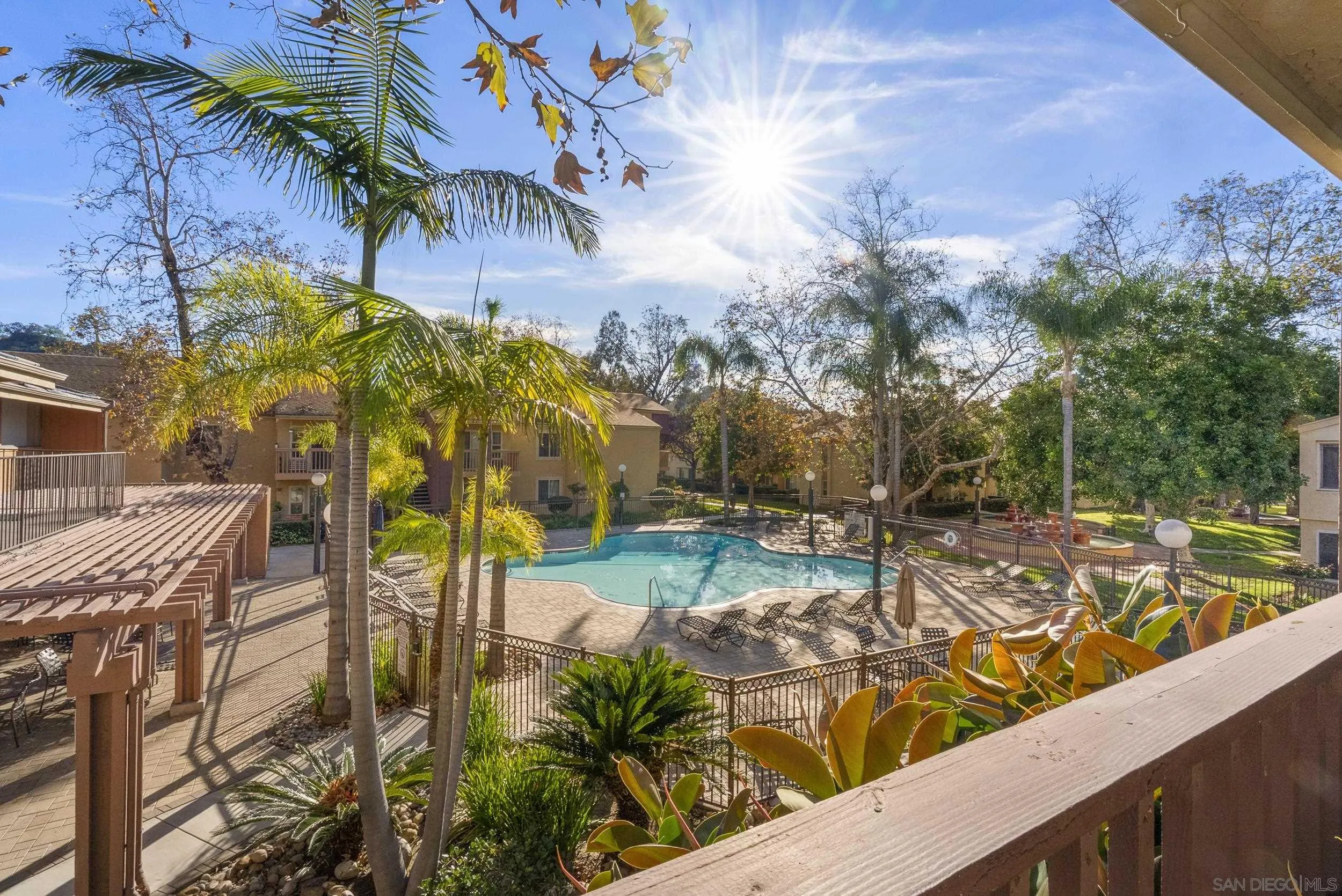 Community swimming pool with lounge chairs, palm trees, and tan apartment buildings in bright sunshine.