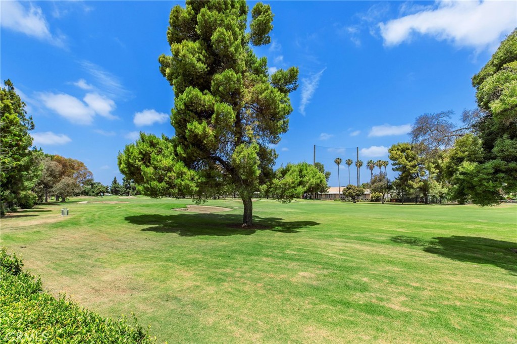 3721 Manor Drive