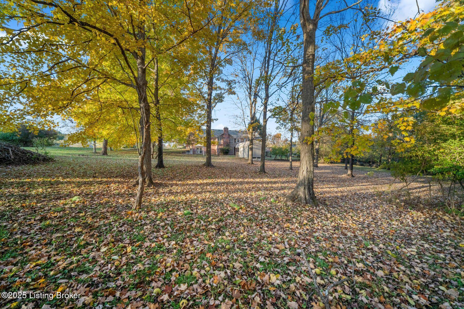 397 Partridge Run Rd