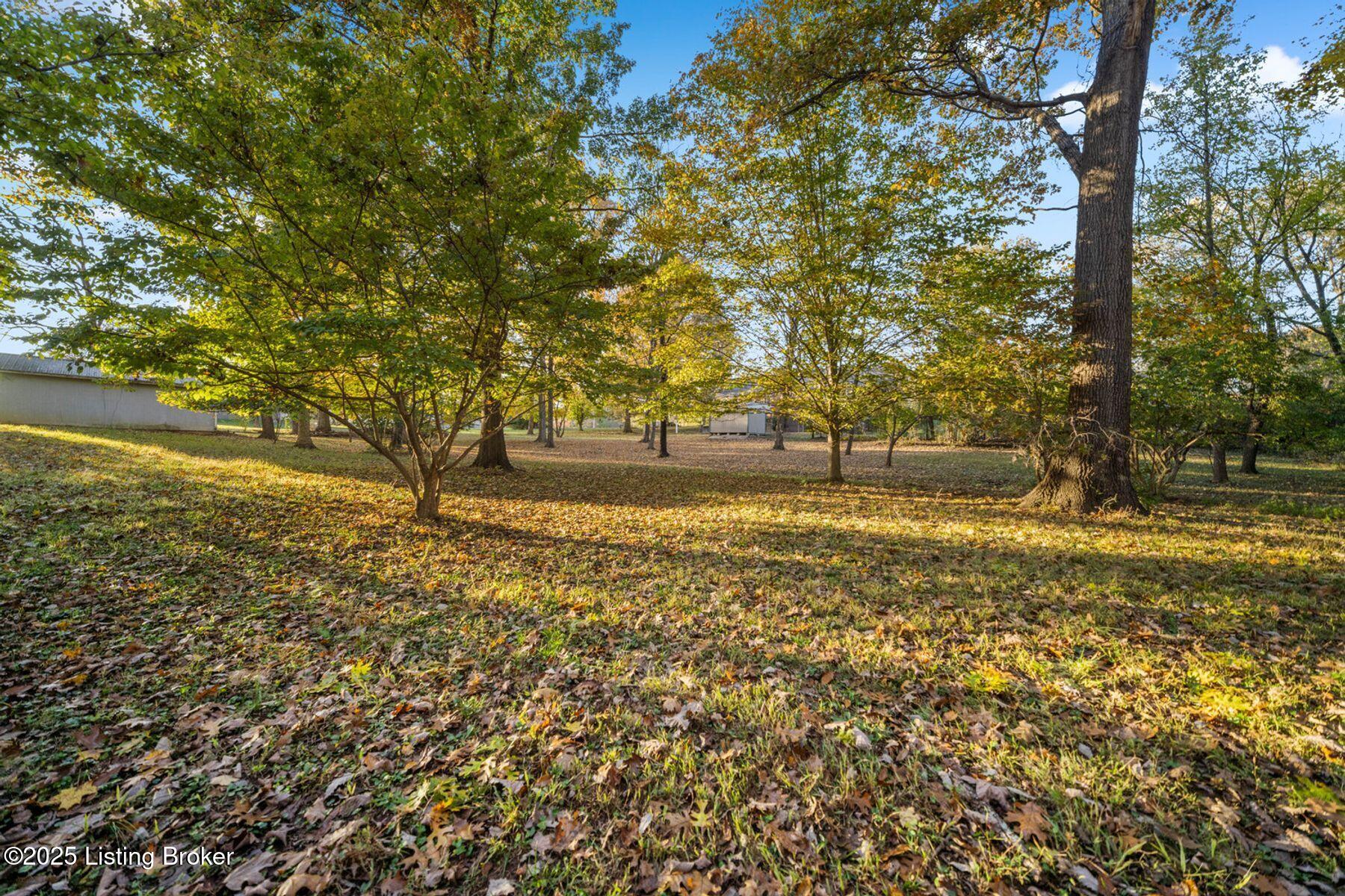 397 Partridge Run Rd