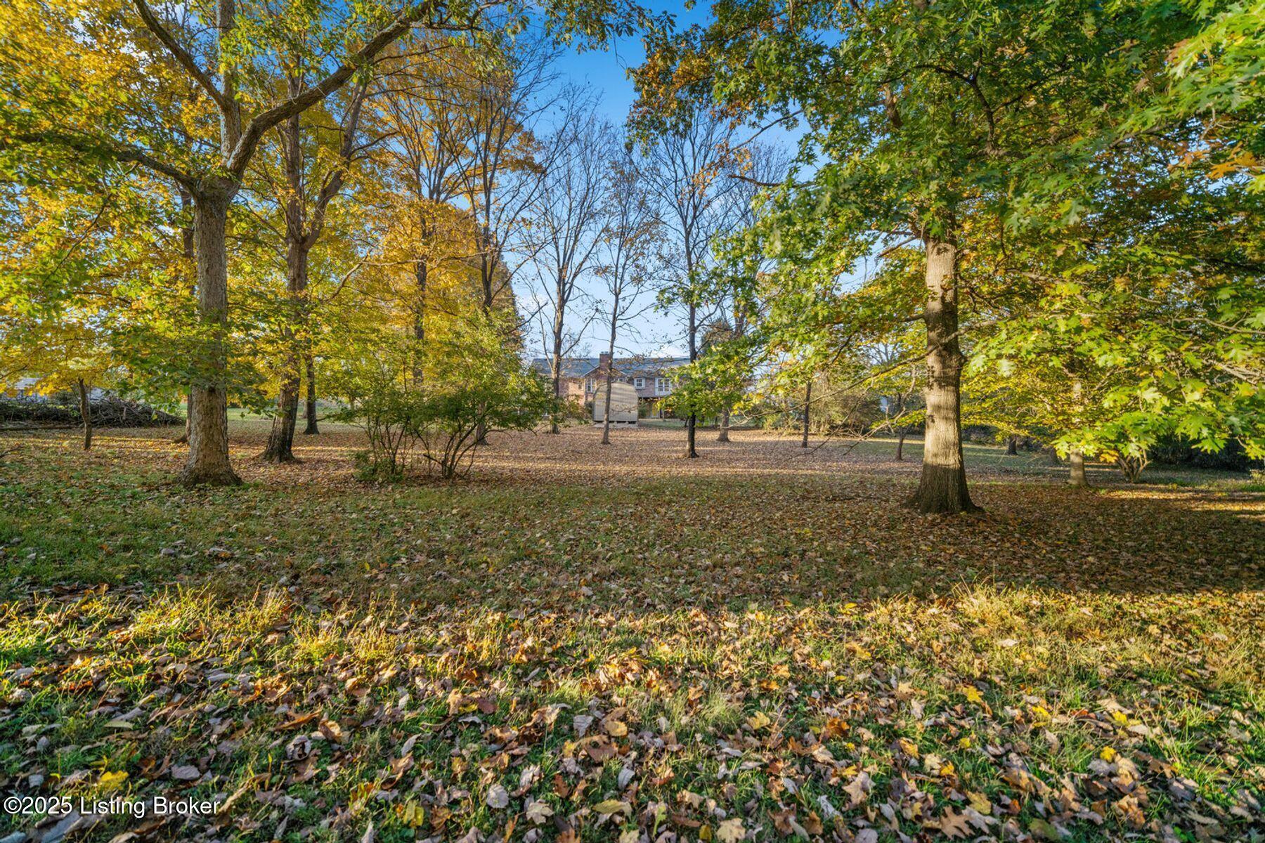 397 Partridge Run Rd