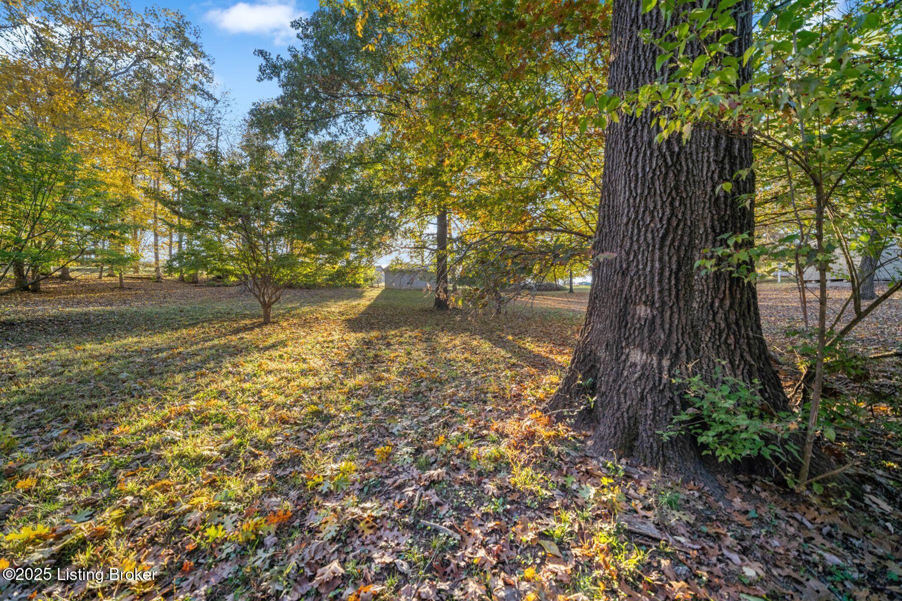 397 Partridge Run Rd