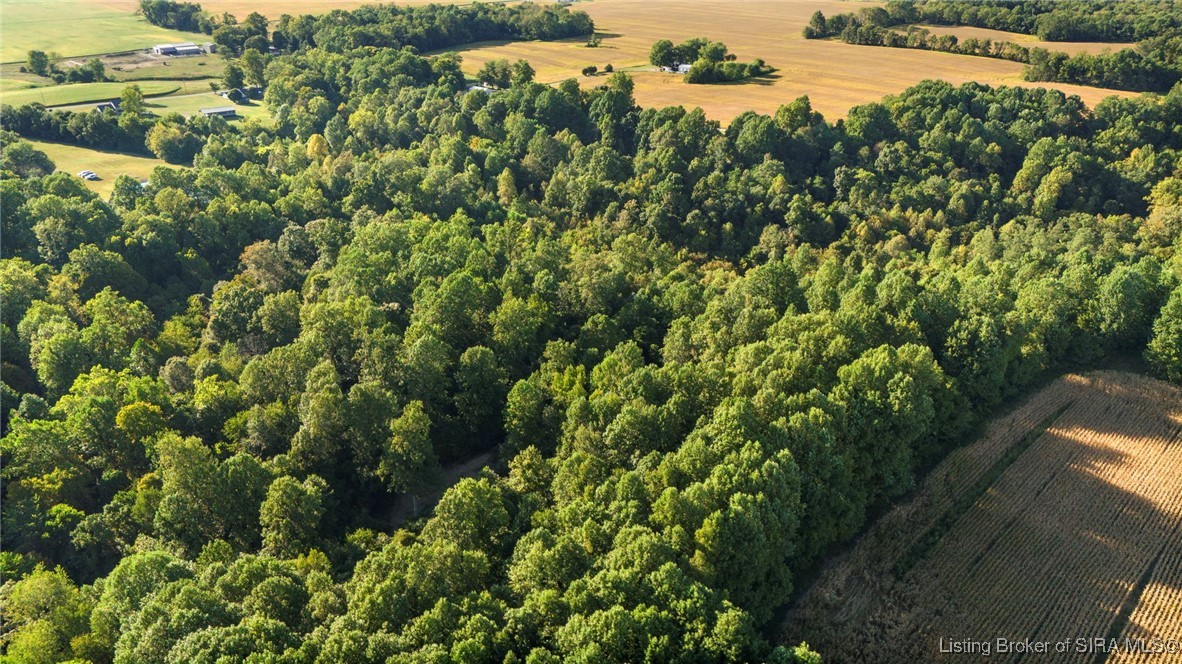 7709 Saluda Paynesville