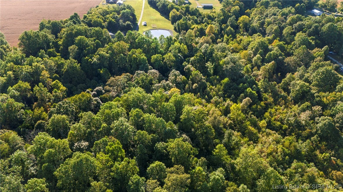 7709 Saluda Paynesville