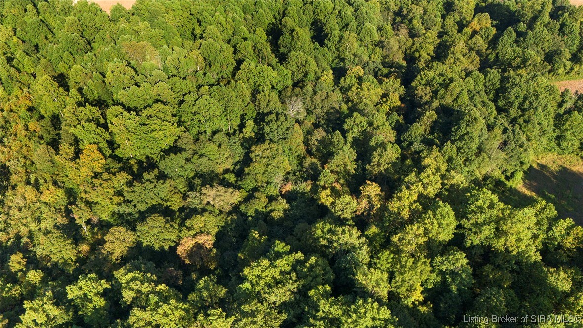 7709 Saluda Paynesville