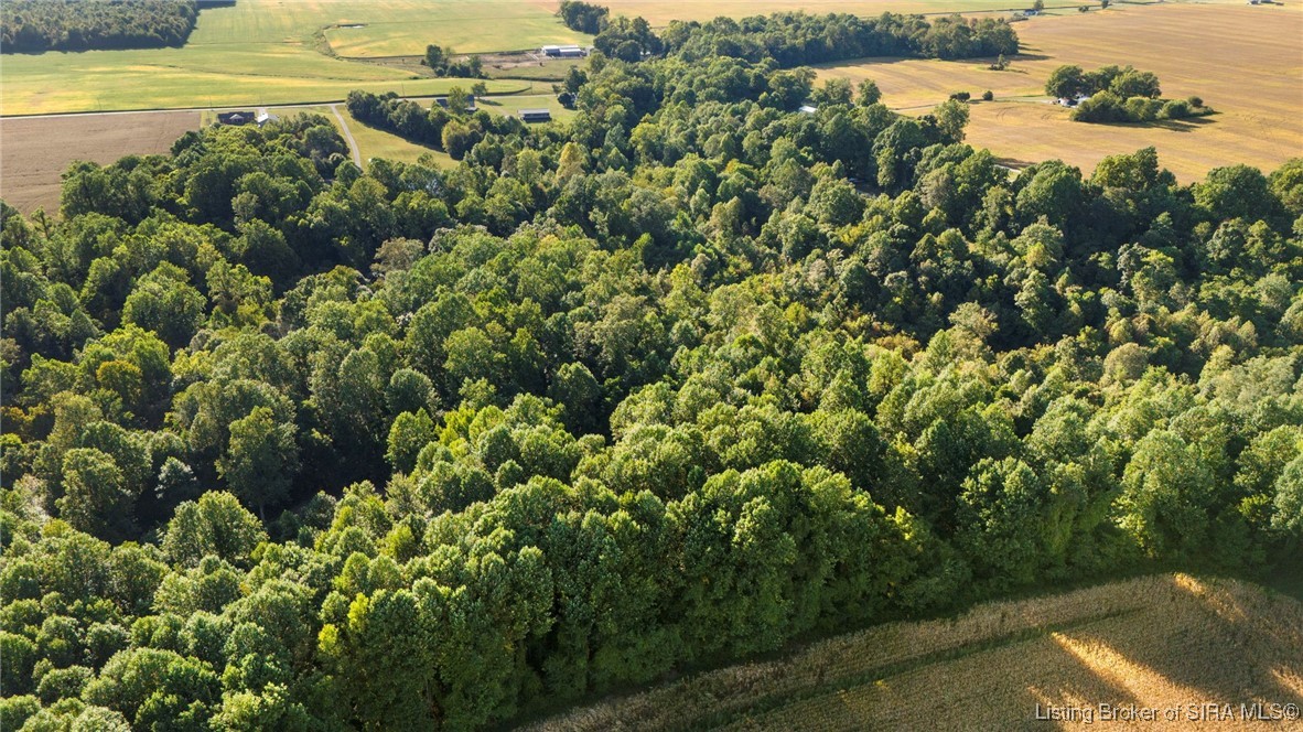 7709 Saluda Paynesville